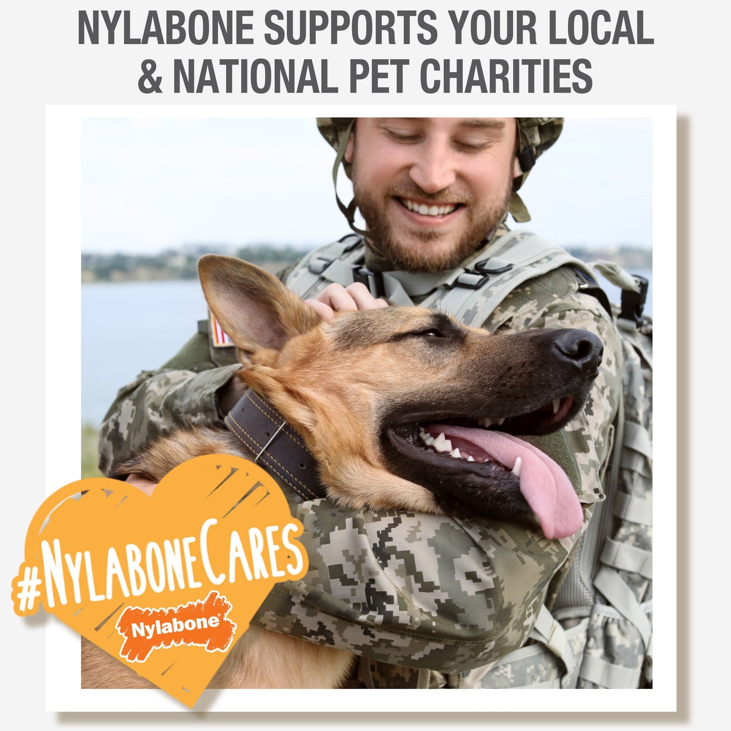 Nylabone Healthy Edibles AllNatural Long Lasting Bacon Chew Treats Bacon, SMall/Regular Up To 25 Ibs. 1 ct