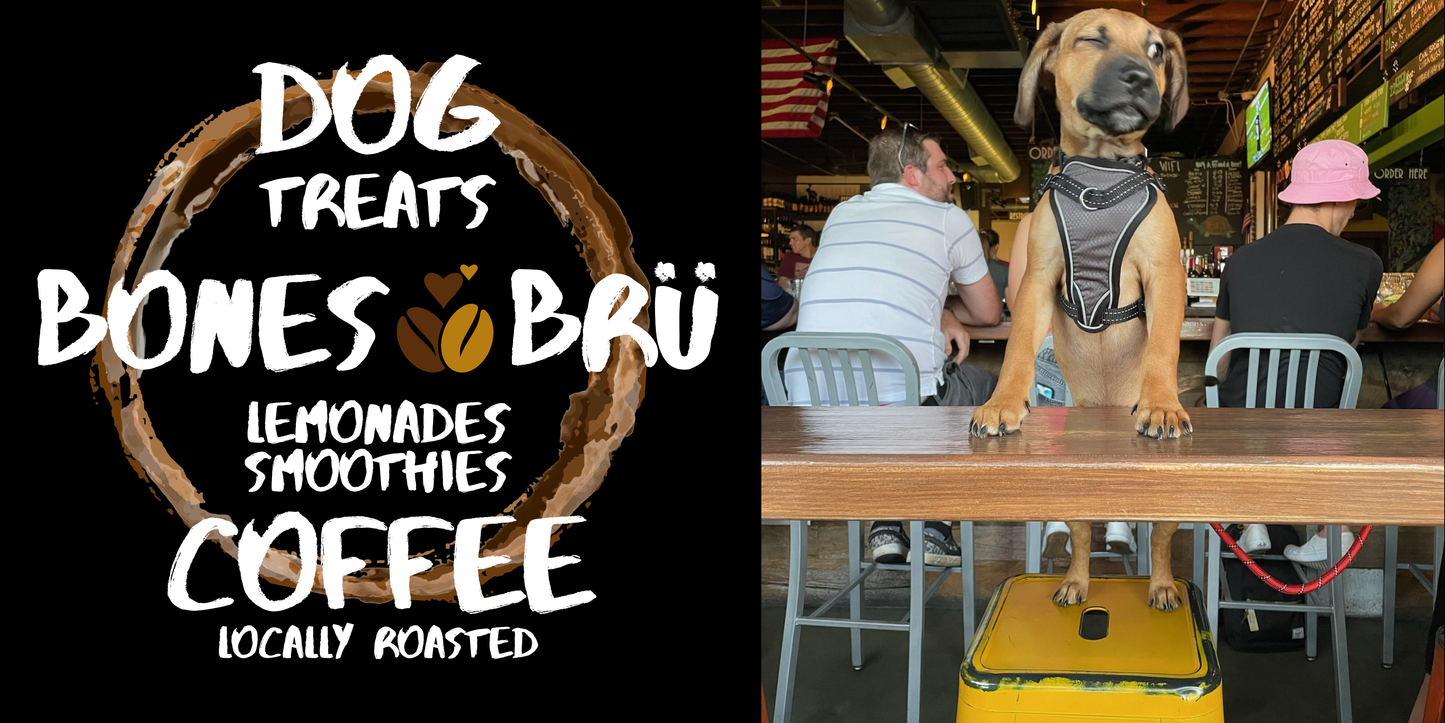 Book a SPECIAL PRIVATE EVENT (dog friendly)