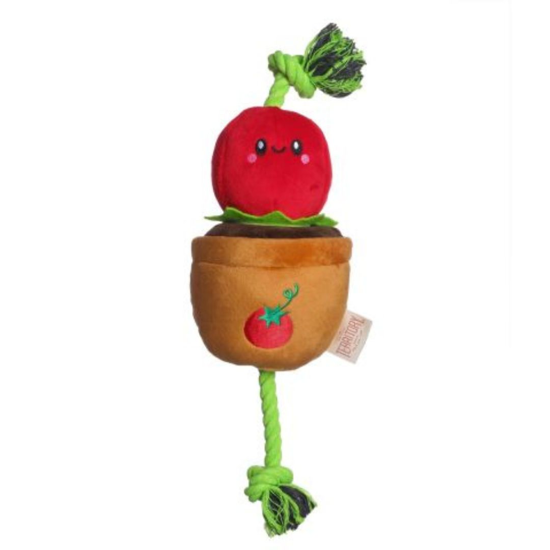 Territory Dog Treat Tug Tomato 15 Inch