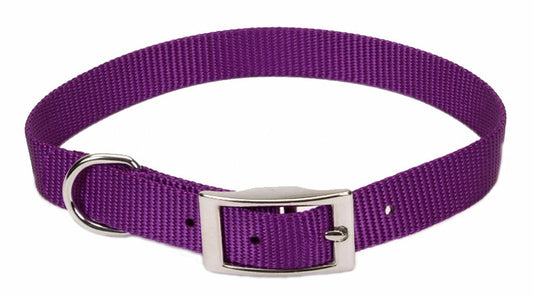 Coastal Single-Ply Nylon Dog Collar Purple 1ea/5/8 In X 14 in