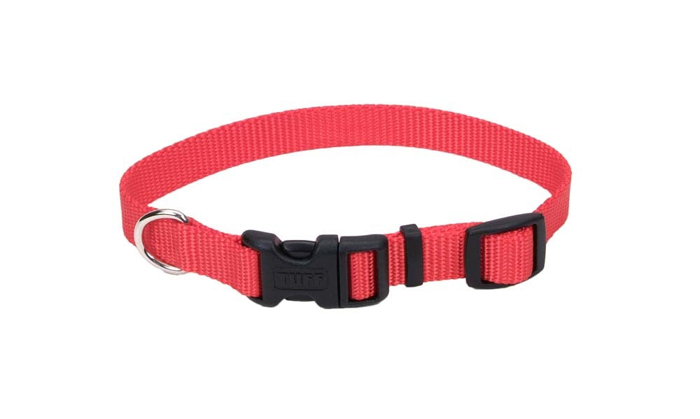 Coastal Adjustable Nylon Dog Collar with Plastic Buckle Red 1ea/1 In X 18-26 in