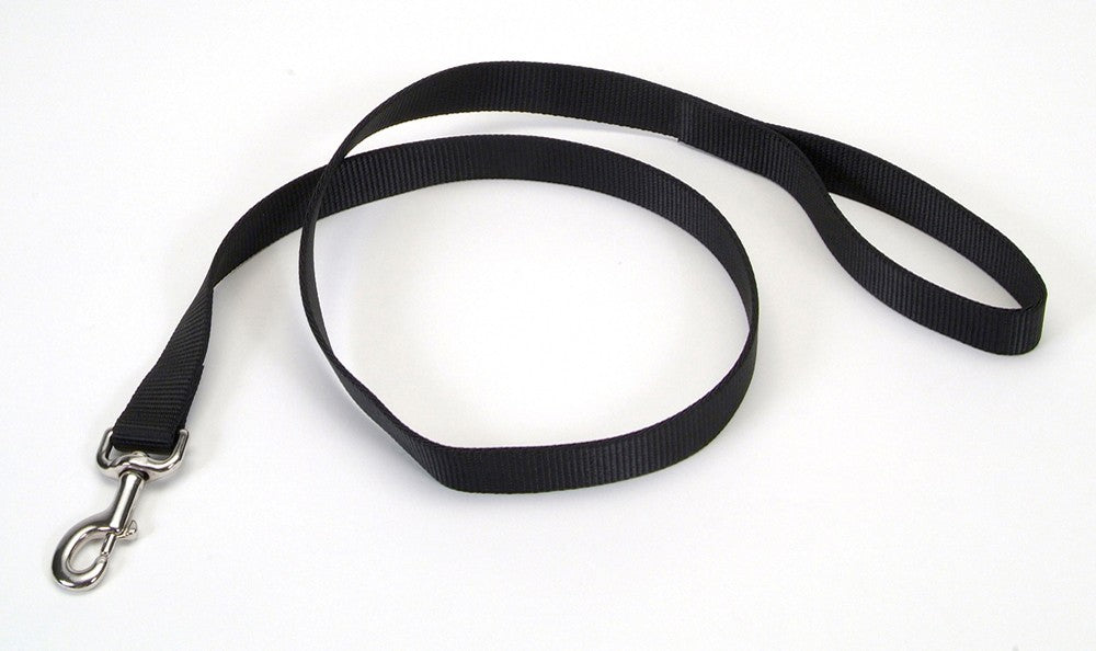 Coastal Single-Ply Nylon Dog Leash Black 1ea/1 In X 6 ft