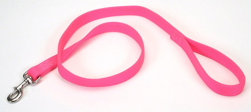 Coastal Double-Ply Nylon Dog Leash Neon Pink 1ea/1 In X 4 ft