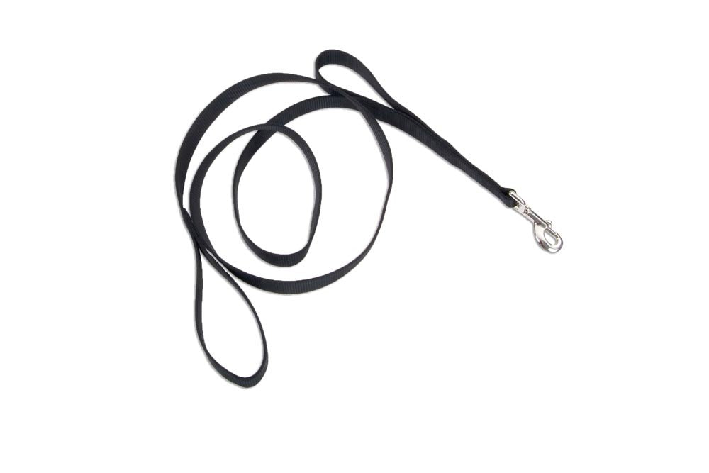 Loops 2 Double Handle Nylon Dog Leash Black 1ea/1 In X 6 ft