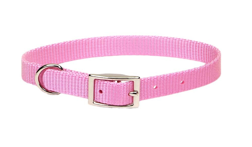 Coastal Single-Ply Nylon Dog Collar Pink Bright 1ea/5/8 In X 14 in