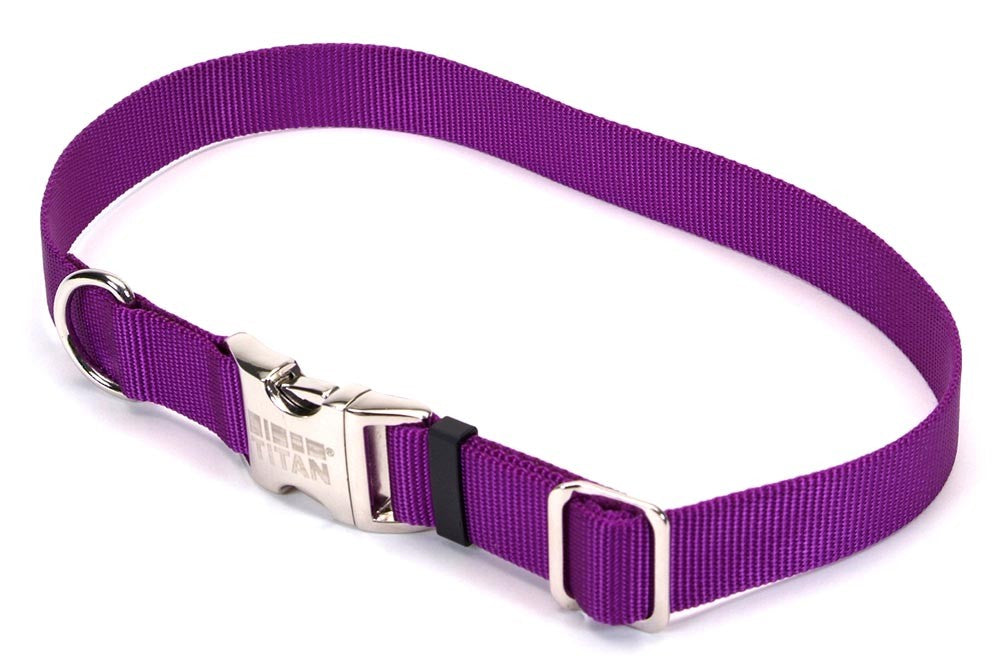 Coastal Adjustable Nylon Collar With Coastal Titan Metal Buckle Purple 1X18-26In