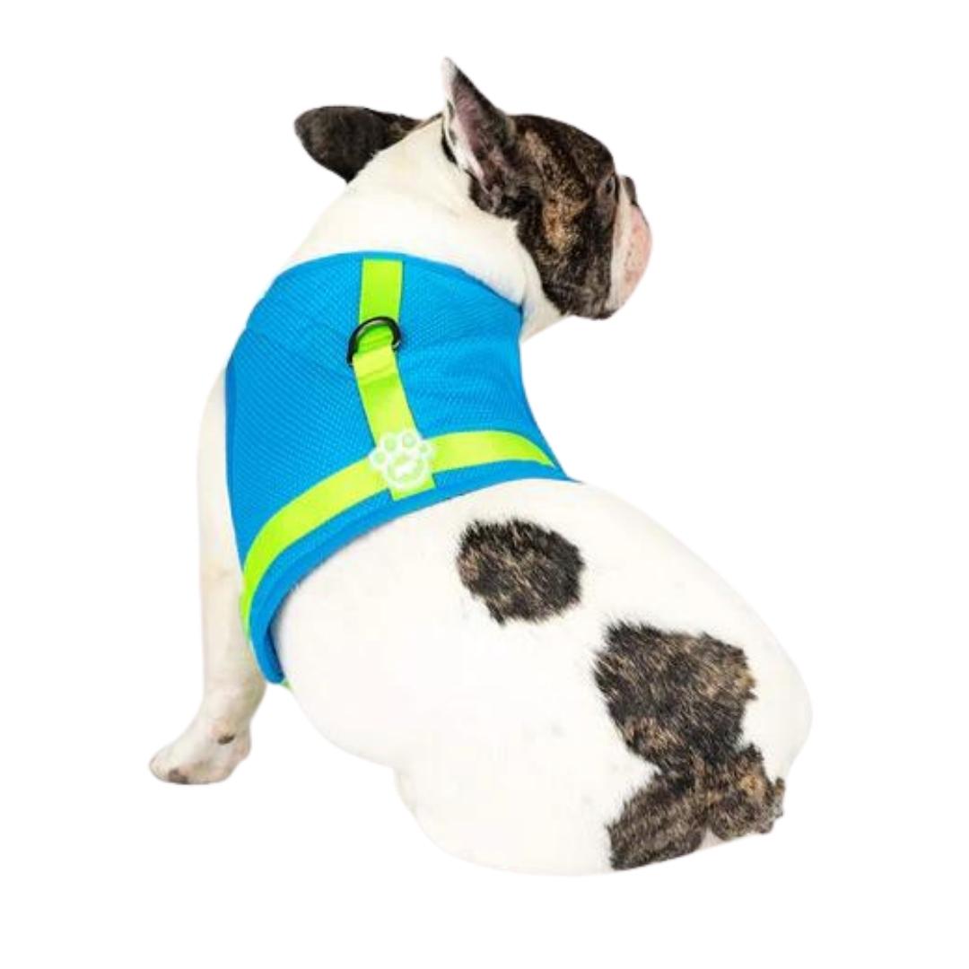 Canada Pooch Dog Cooling Harness Blue 10