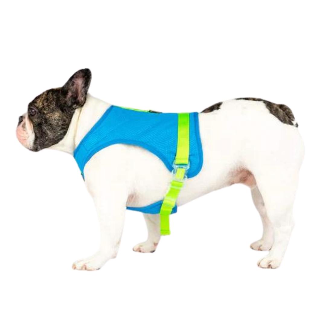 Canada Pooch Dog Cooling Harness Blue 12