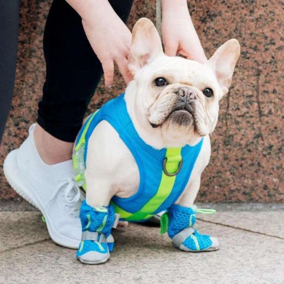 Canada Pooch Dog Cooling Harness Blue 12