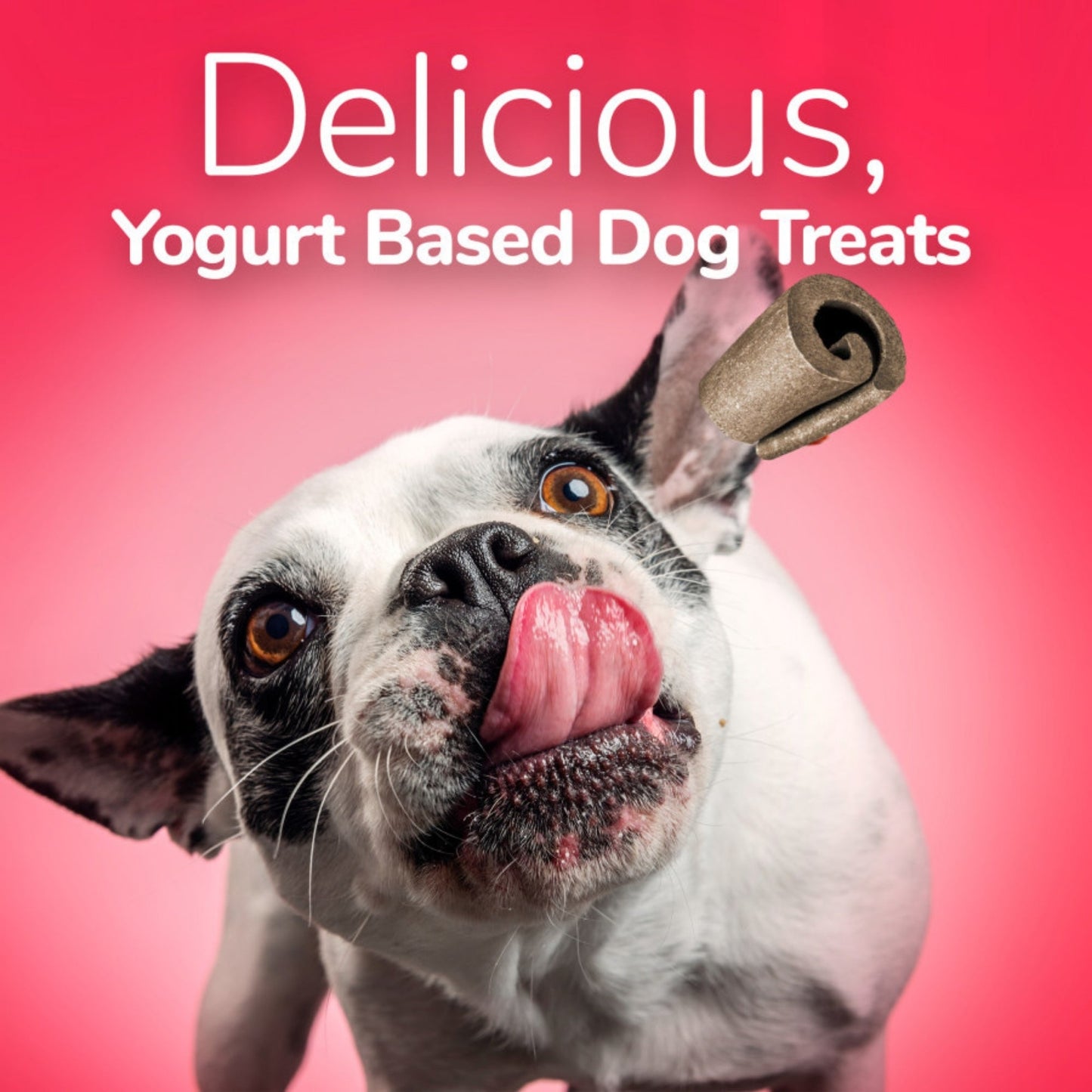 Fruitables Yogos Real Yogurt Dog Treats Strawberry & Banana, 1ea/12oz.