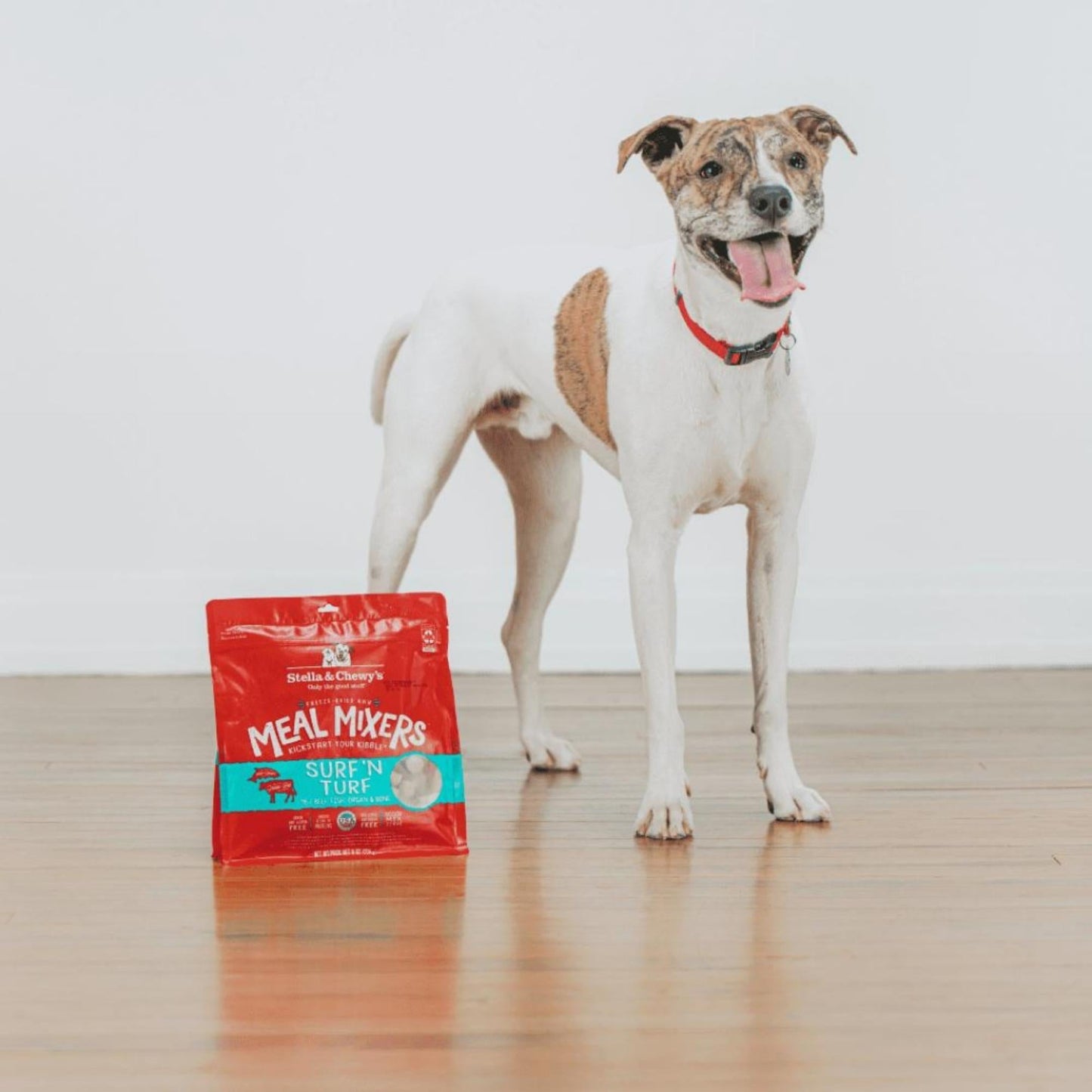 Stella and Chewys Dog Freeze-Dried Mixer Surf and Turf 8oz.