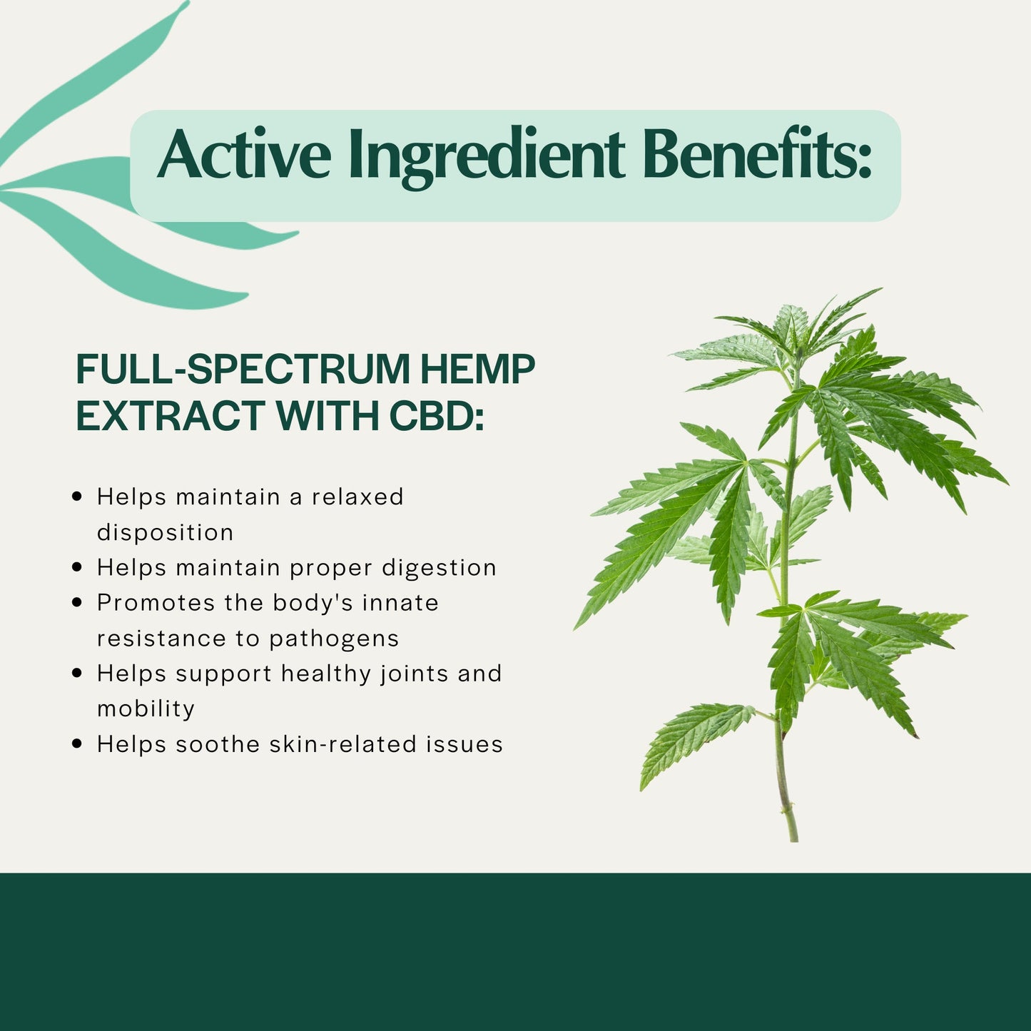 Pet Releaf Hip & Joint Organic Hemp Oil Cbd 600Mg