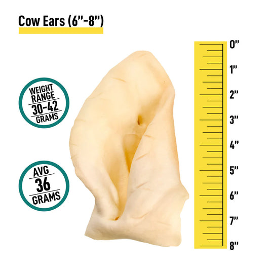 Cow Ears w/ Medallions