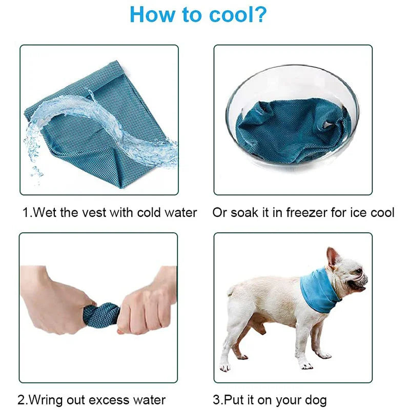 Summer Instant Cooling Bandana