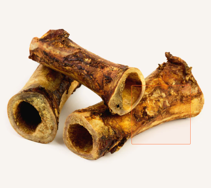 Beef Femur, (Sold by Each)