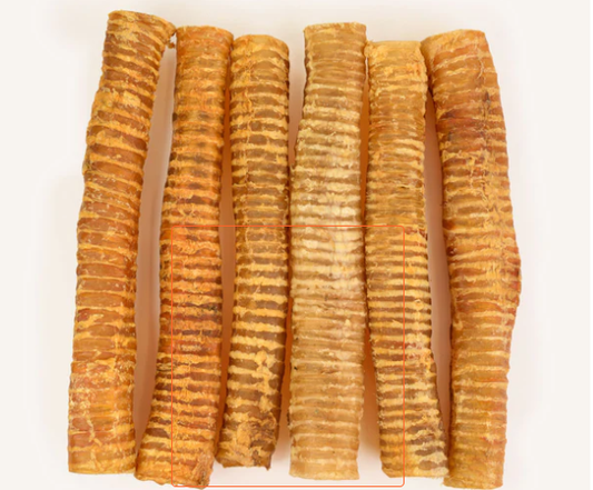 Trachea Crunchy Tubes, (Sold by each)