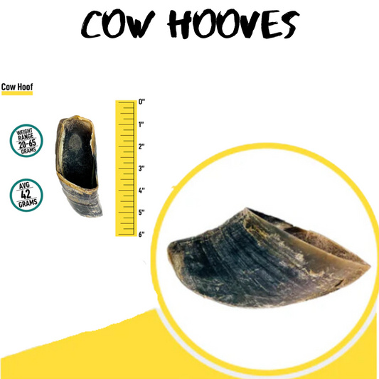 **Cow Hooves ($/piece)